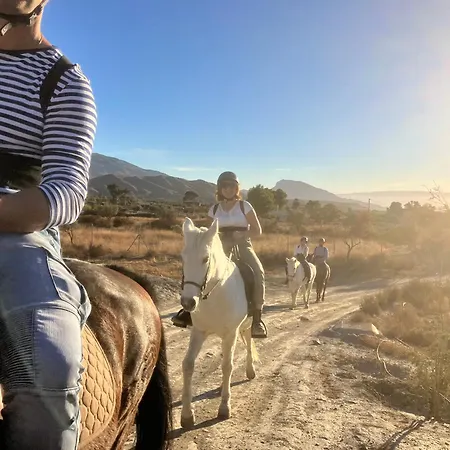 Bed & Breakfast Rancho Malcaminos